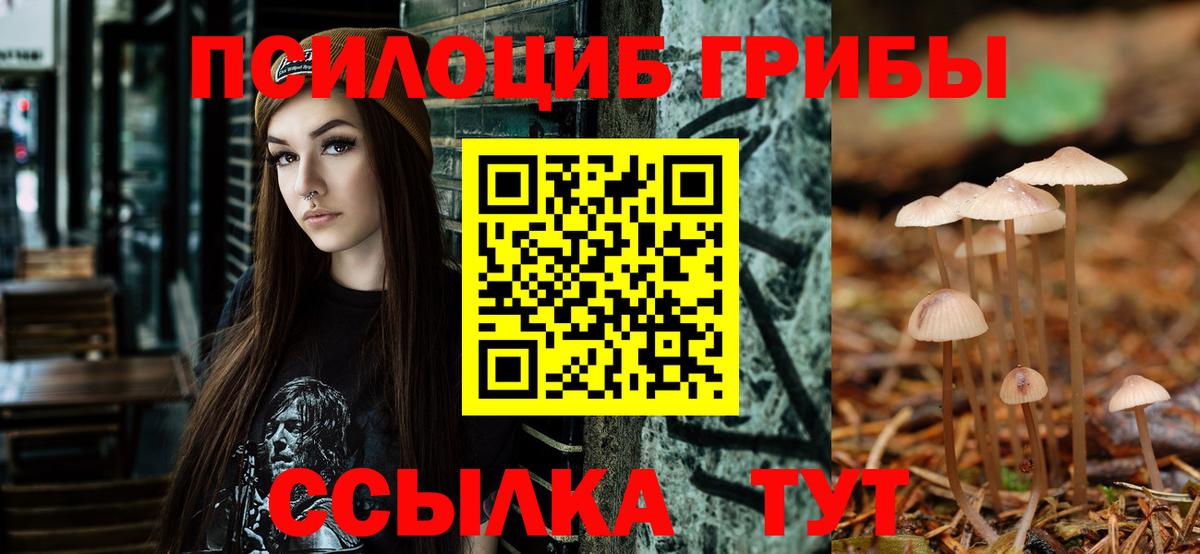 Галлюциногенные грибы MAGIC MUSHROOMS Вышний Волочёк