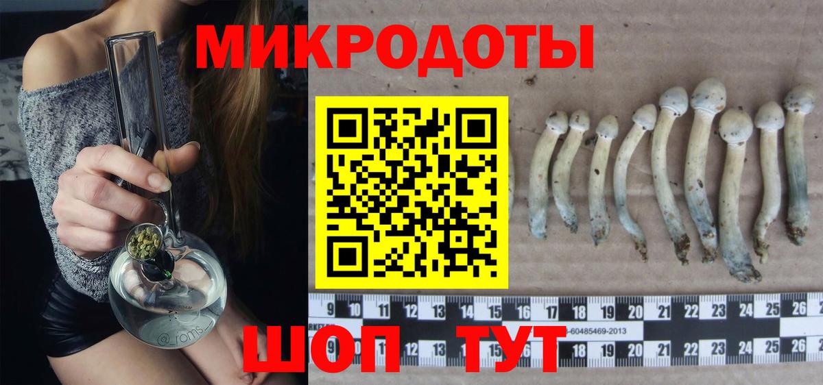 Вышний Волочёк  Галлюциногенные грибы Cubensis  купить  сайты  Псилоцибиновые грибы Cubensis  Вход с VPN 